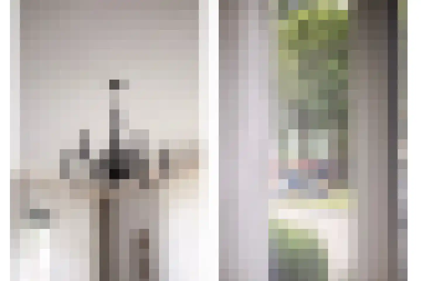 Berkenhof 19 Grashoek thumbnail 10