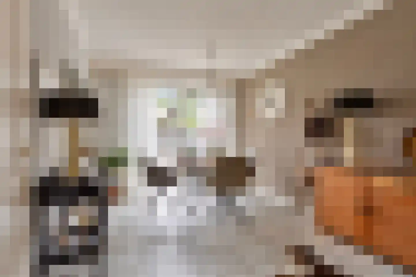 Berkenhof 19 Grashoek thumbnail 11