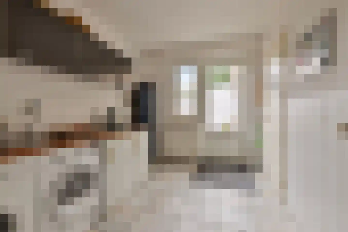 Berkenhof 19 Grashoek thumbnail 18