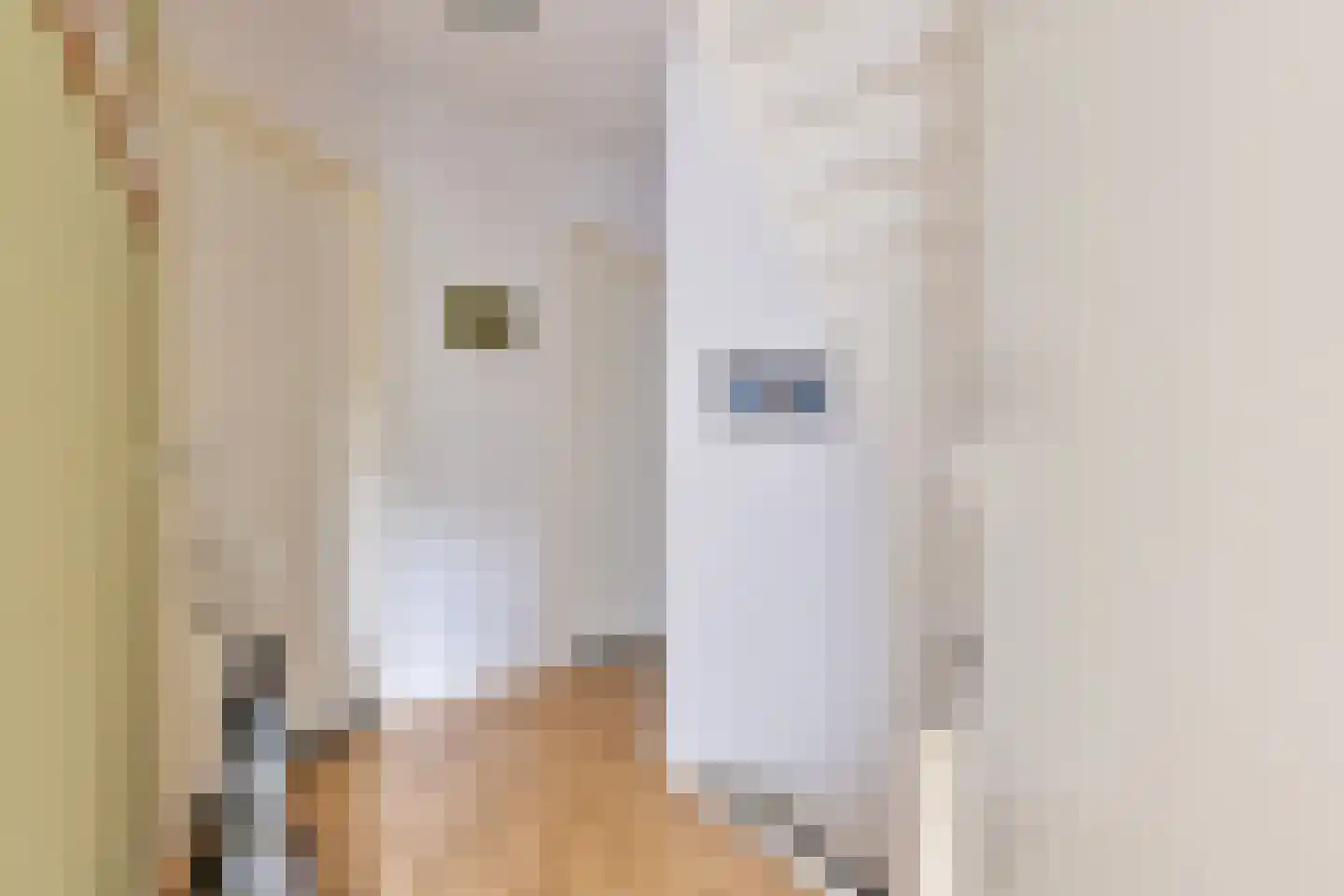 Berkenhof 19 Grashoek thumbnail 20