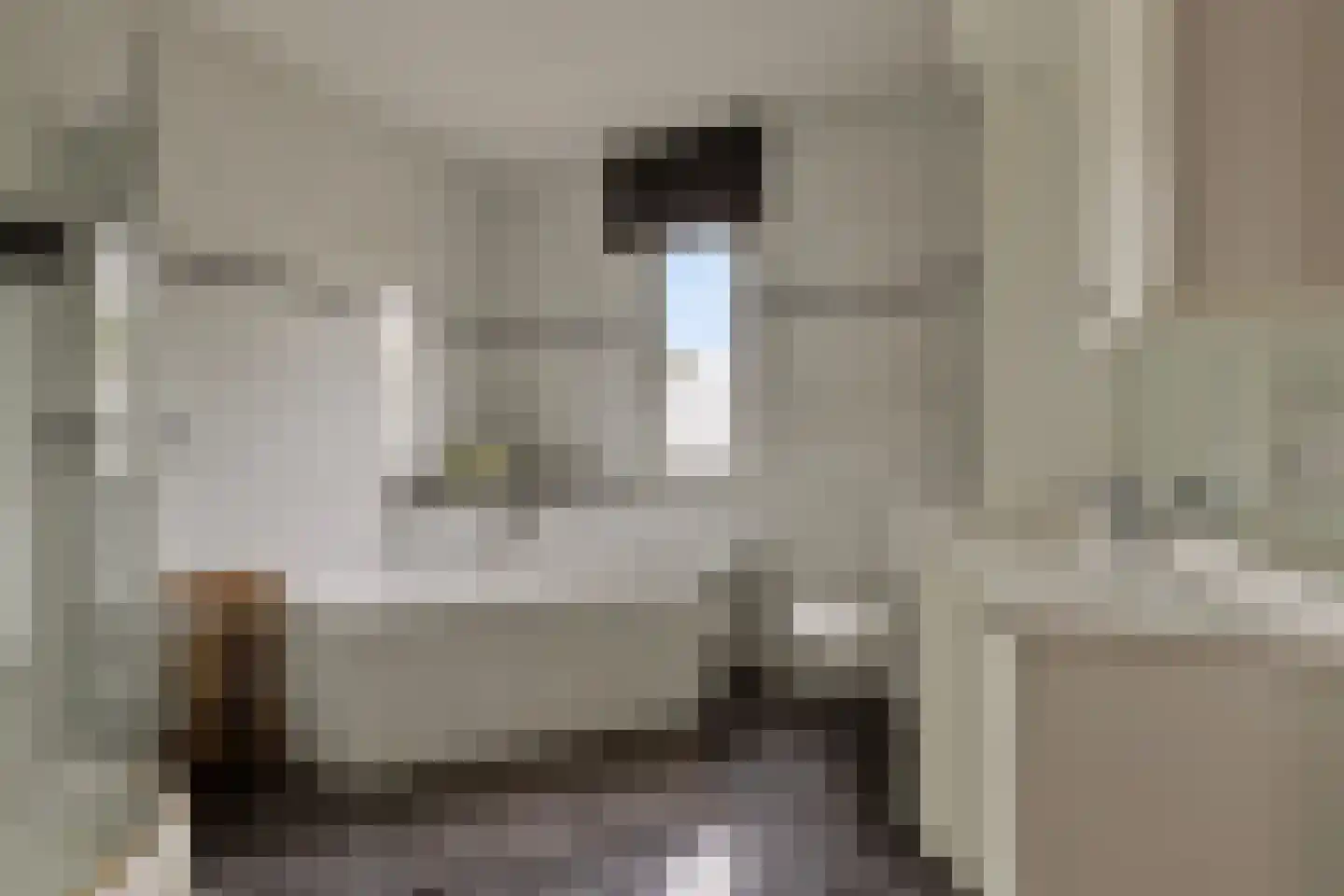 Berkenhof 19 Grashoek thumbnail 26