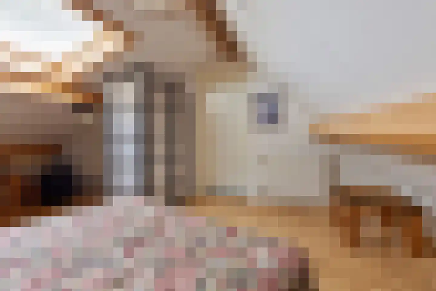 Berkenhof 19 Grashoek thumbnail 31