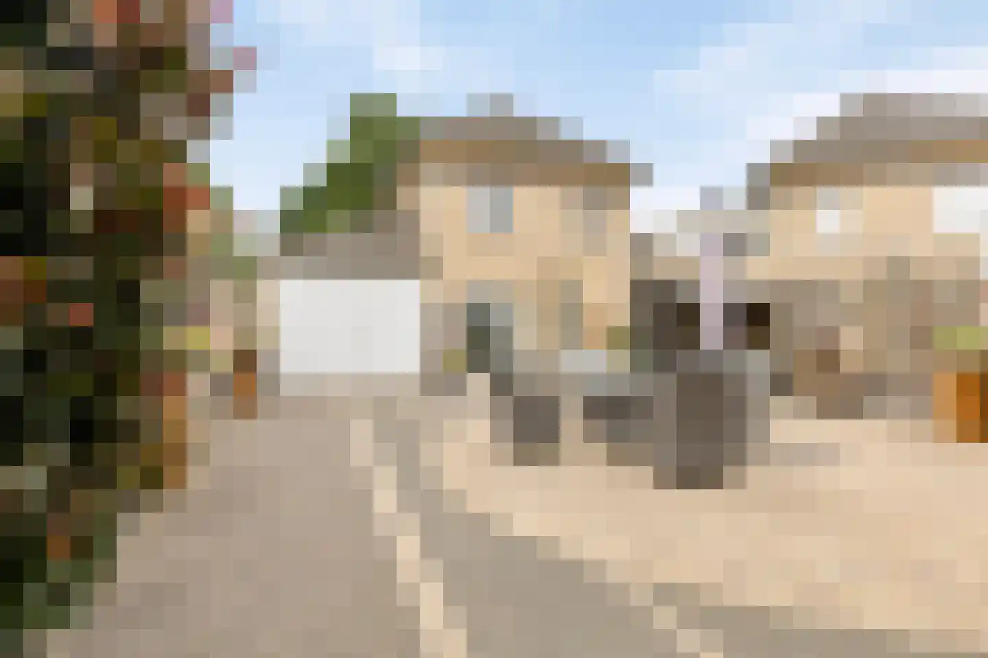 Berkenhof 19 Grashoek thumbnail 40