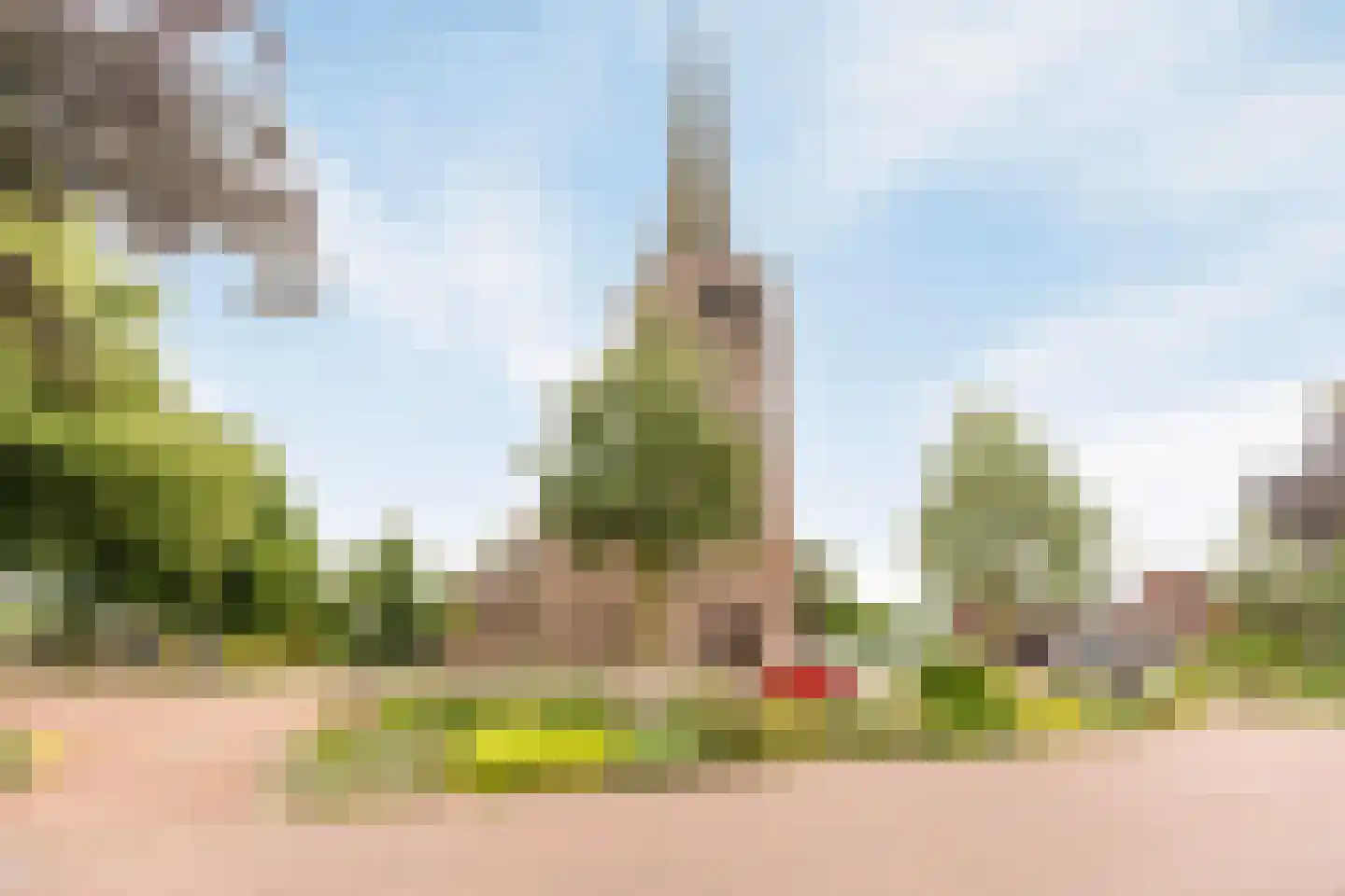 Berkenhof 19 Grashoek thumbnail 47