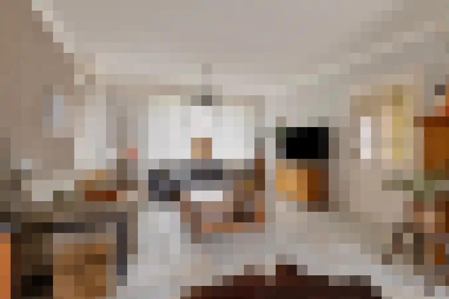 Berkenhof 19 Grashoek thumbnail 7