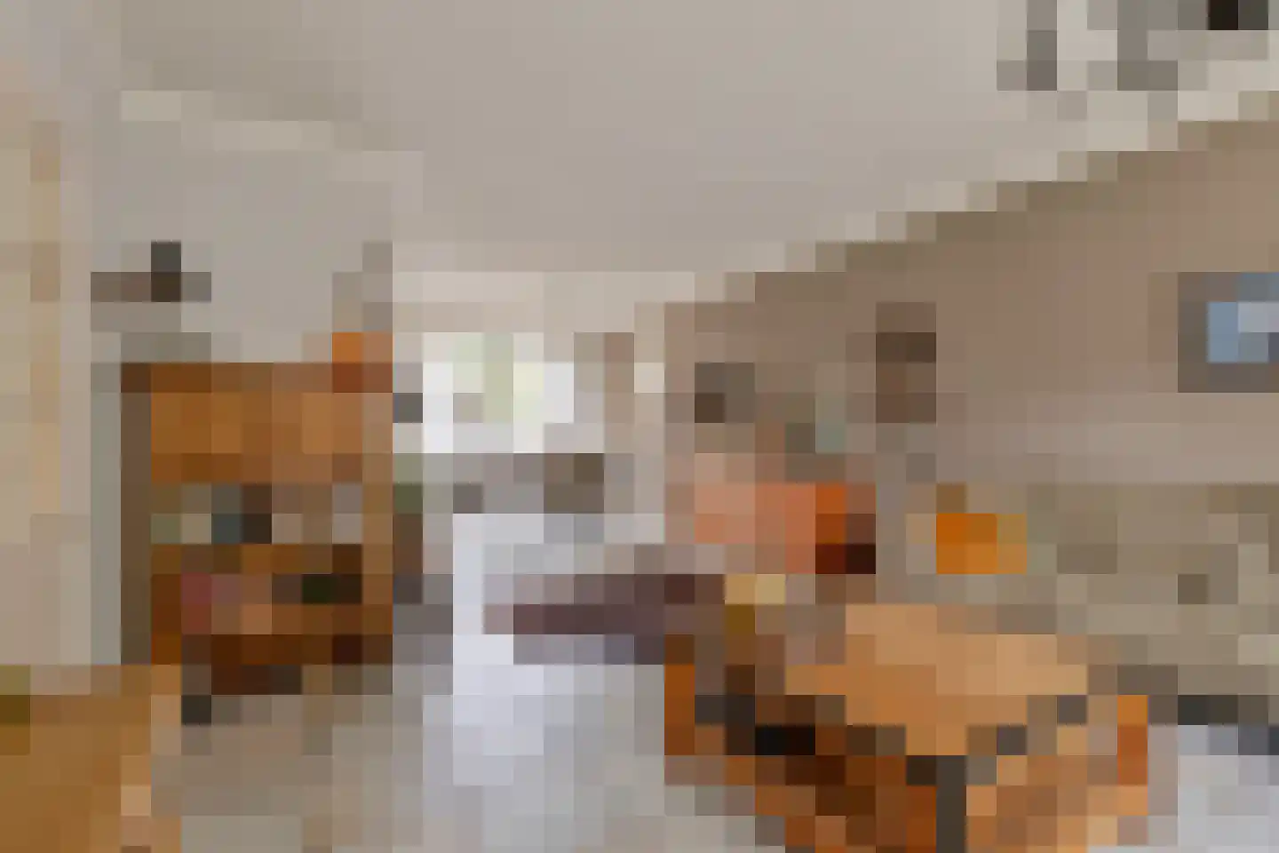 Berkenhof 19 Grashoek thumbnail 8