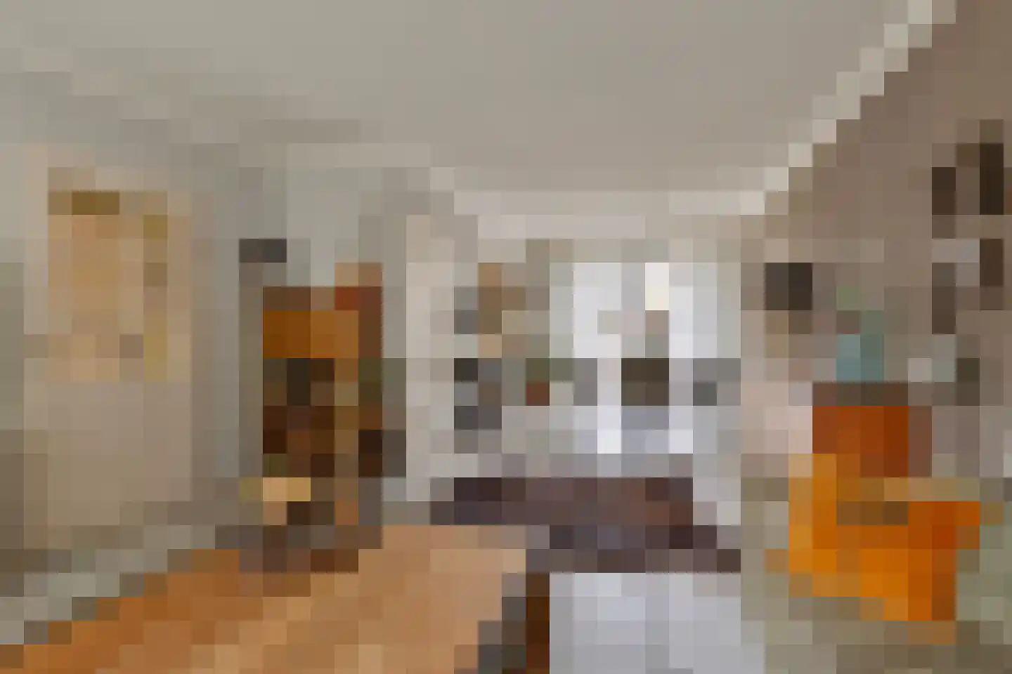 Berkenhof 19 Grashoek thumbnail 9