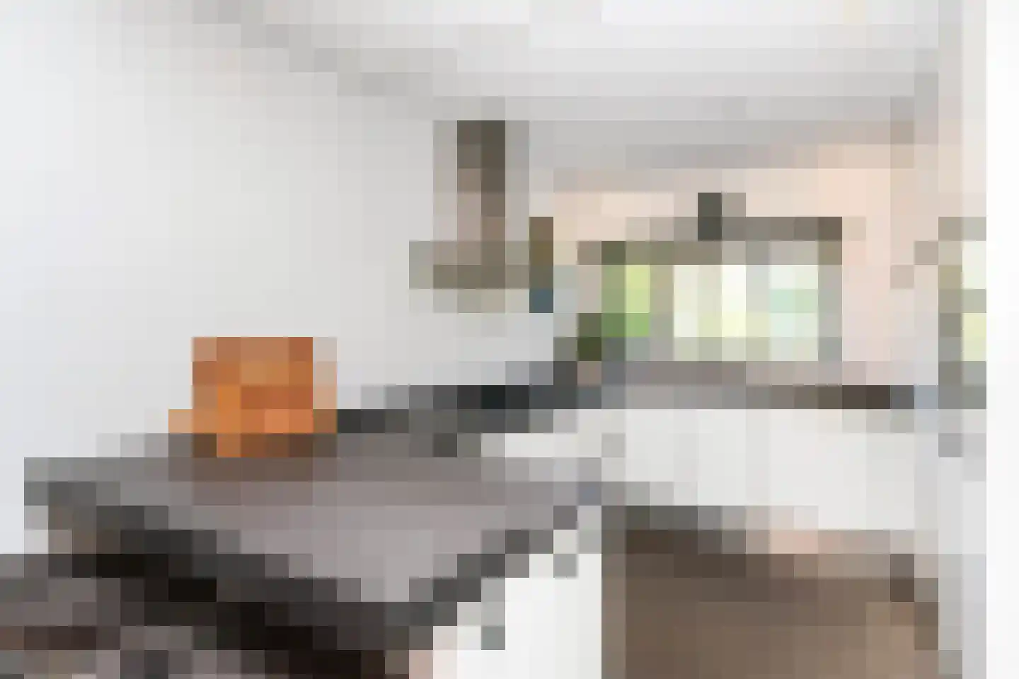 Berkenhof 2 Kortenhoef thumbnail 11