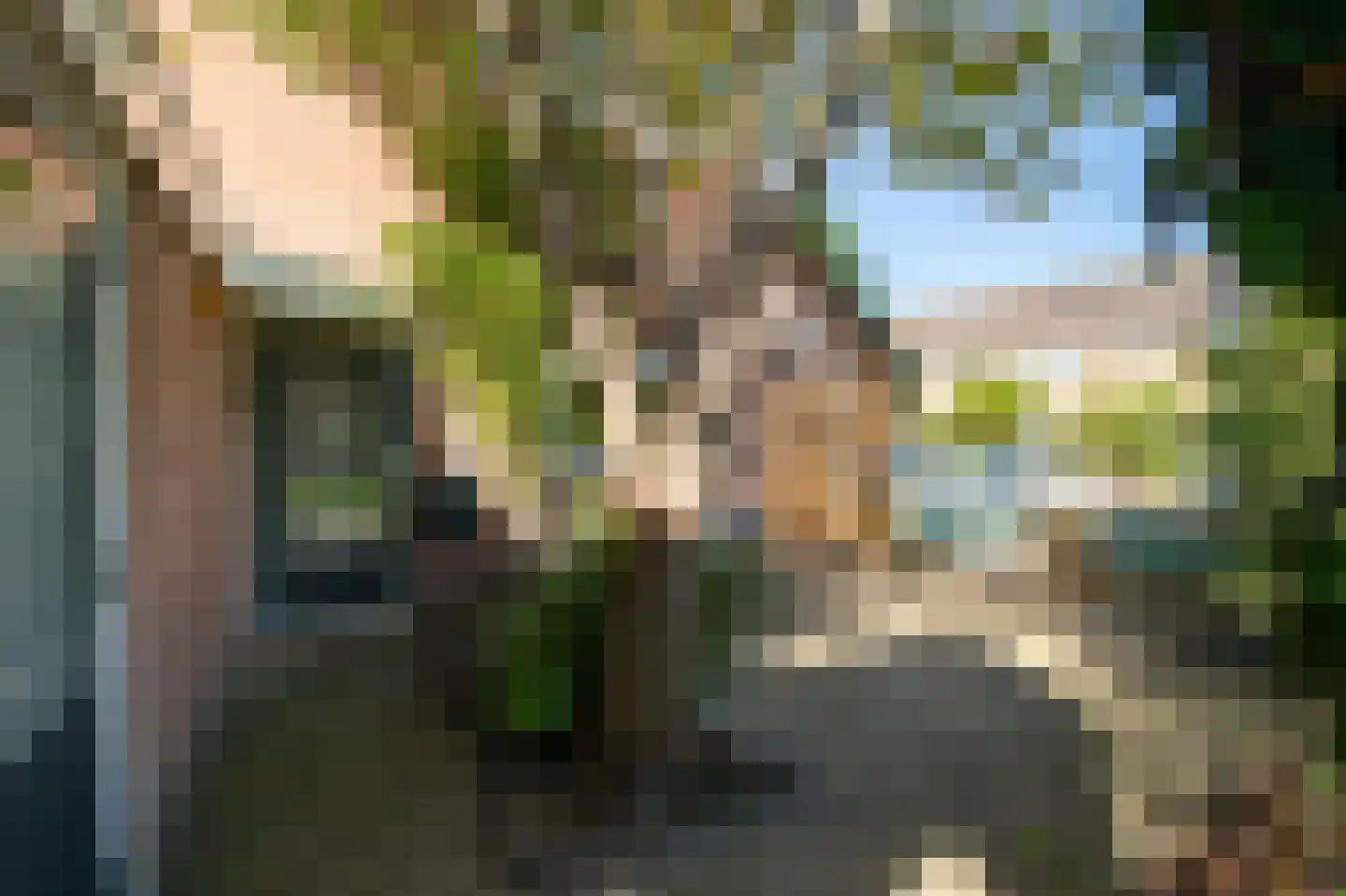 Berkenhof 2 Kortenhoef thumbnail 28