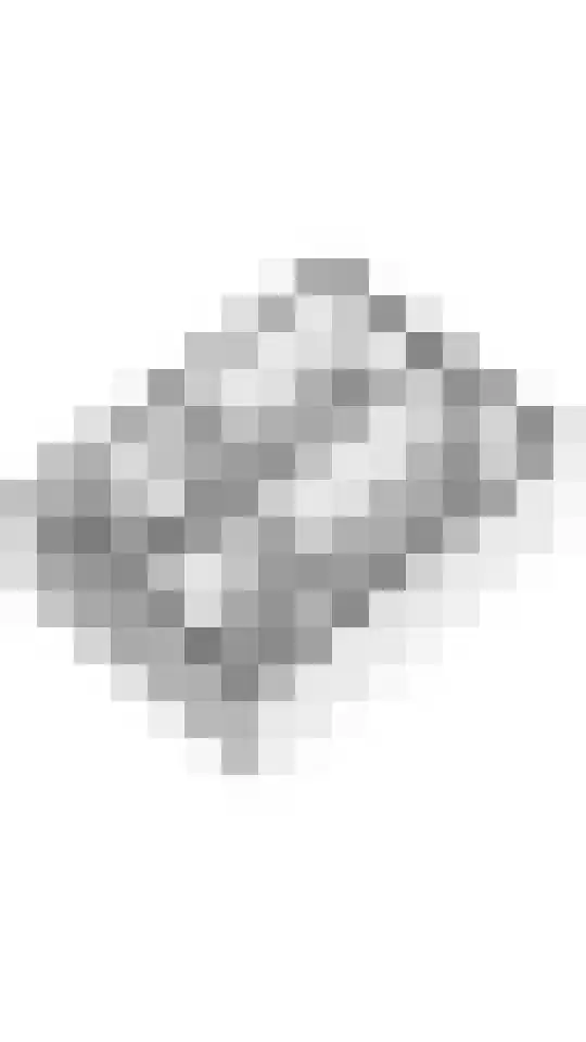 Berkenhof 2 Kortenhoef thumbnail 37