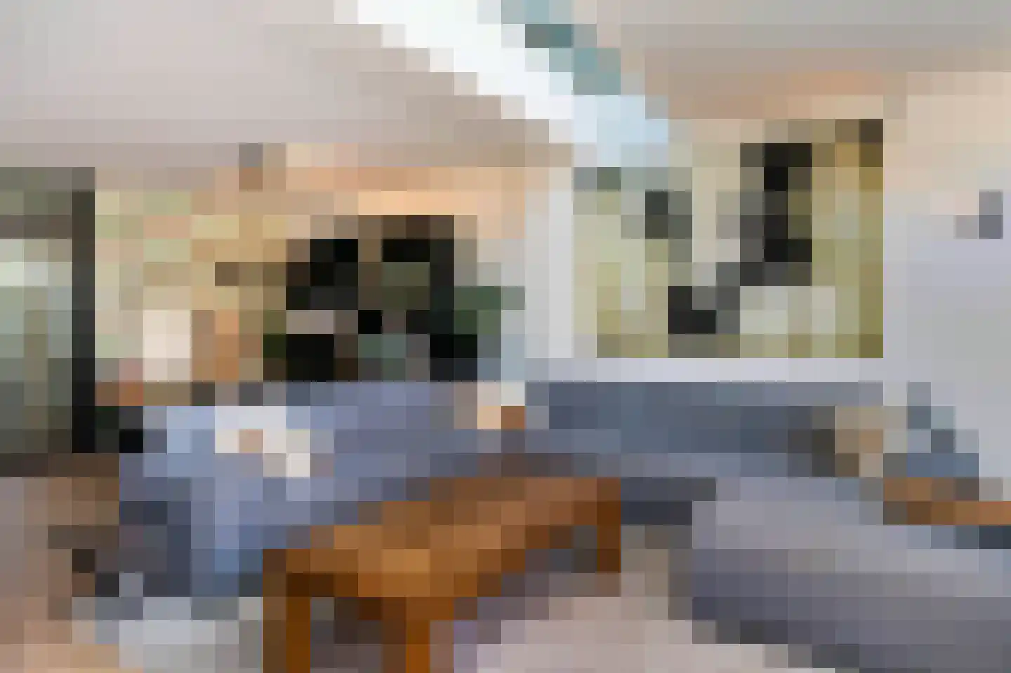 Berkenhof 2 Kortenhoef thumbnail 8