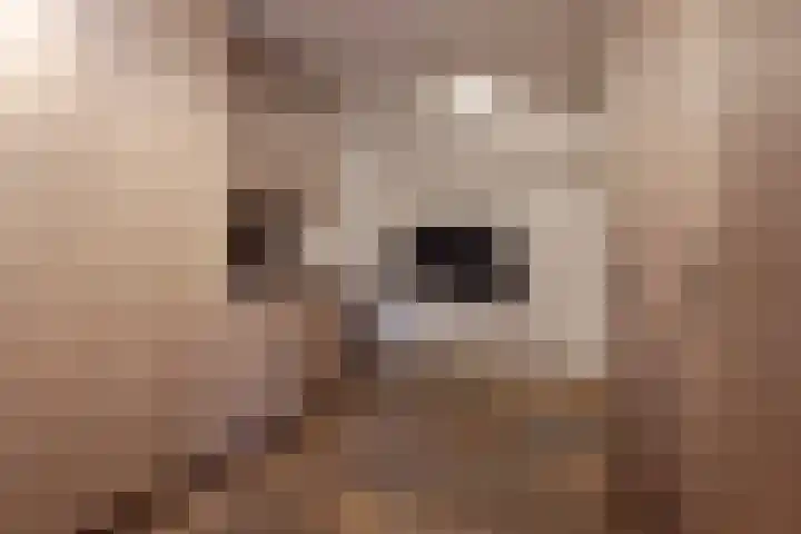 Berkenhof 21 Grashoek thumbnail 25