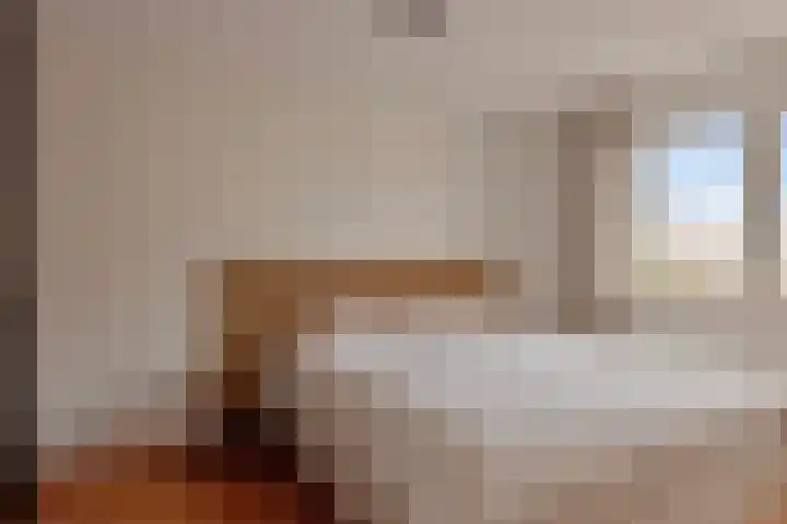 Berkenhof 21 Grashoek thumbnail 27