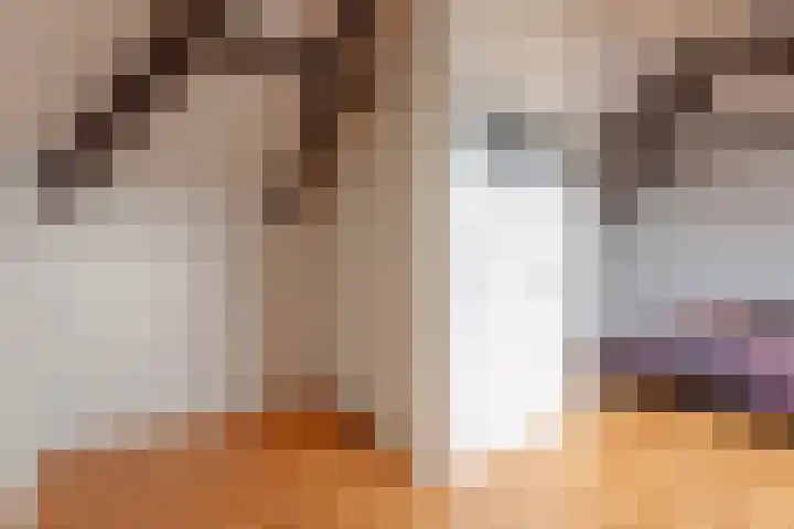Berkenhof 21 Grashoek thumbnail 38