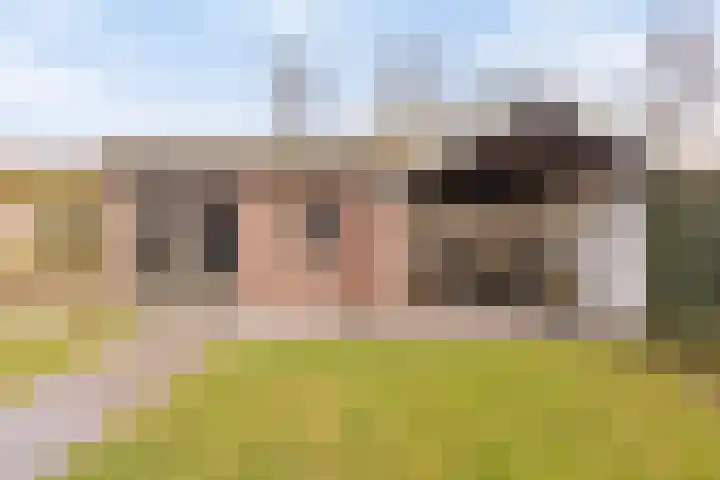 Berkenhof 21 Grashoek thumbnail 40