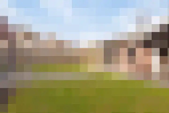 Berkenhof 21 Grashoek thumbnail 41