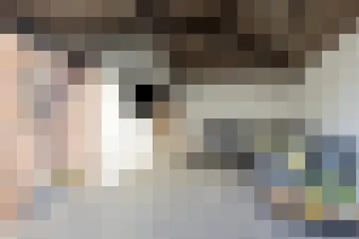 Berkenhof 21 Grashoek thumbnail 42