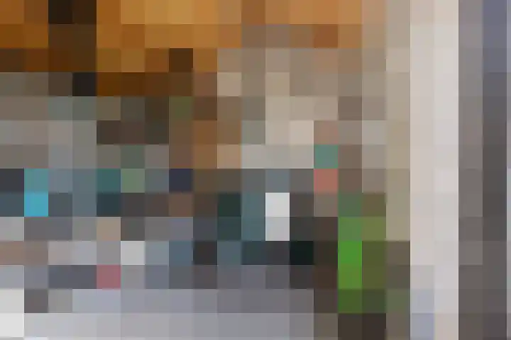 Berkenhof 21 Grashoek thumbnail 43