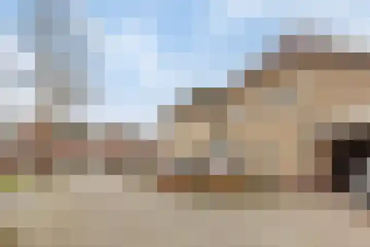 Berkenhof 21 Grashoek thumbnail 48