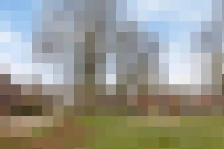 Berkenhof 21 Grashoek thumbnail 49