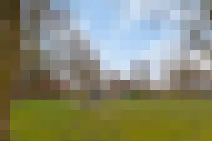 Berkenhof 21 Grashoek thumbnail 50