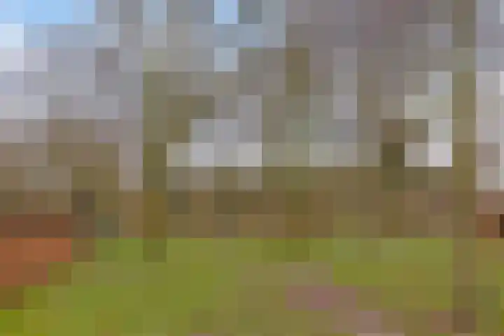 Berkenhof 21 Grashoek thumbnail 51