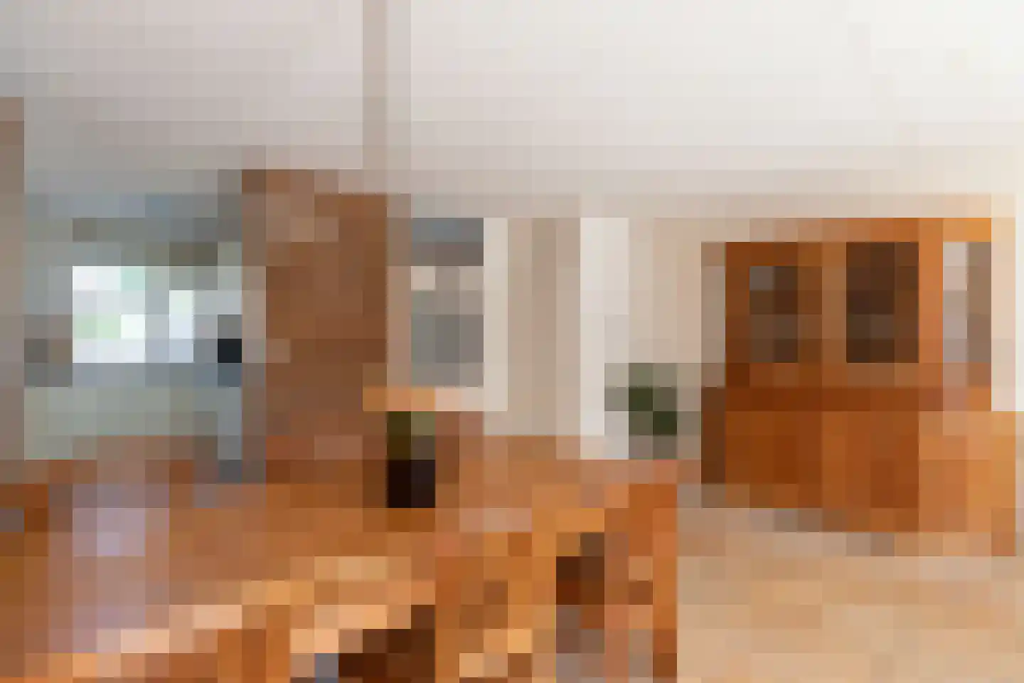 Berkenhof 37 Papendrecht thumbnail 13