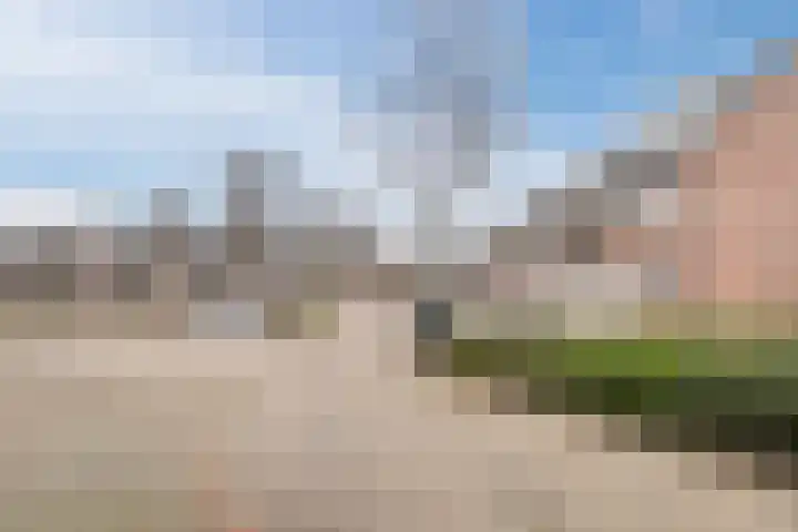 Berkenhof 38 Papendrecht thumbnail 31