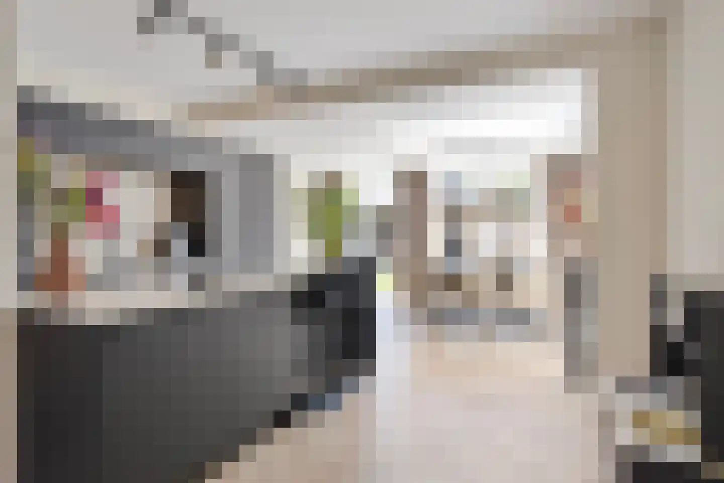 Berkenhof 4 Grashoek thumbnail 19