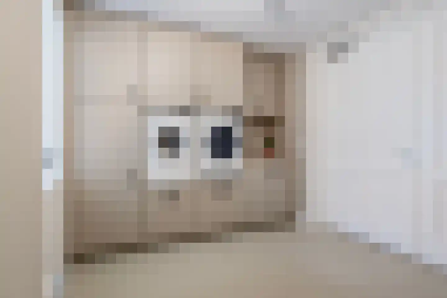 Berkenhof 4 Grashoek thumbnail 23