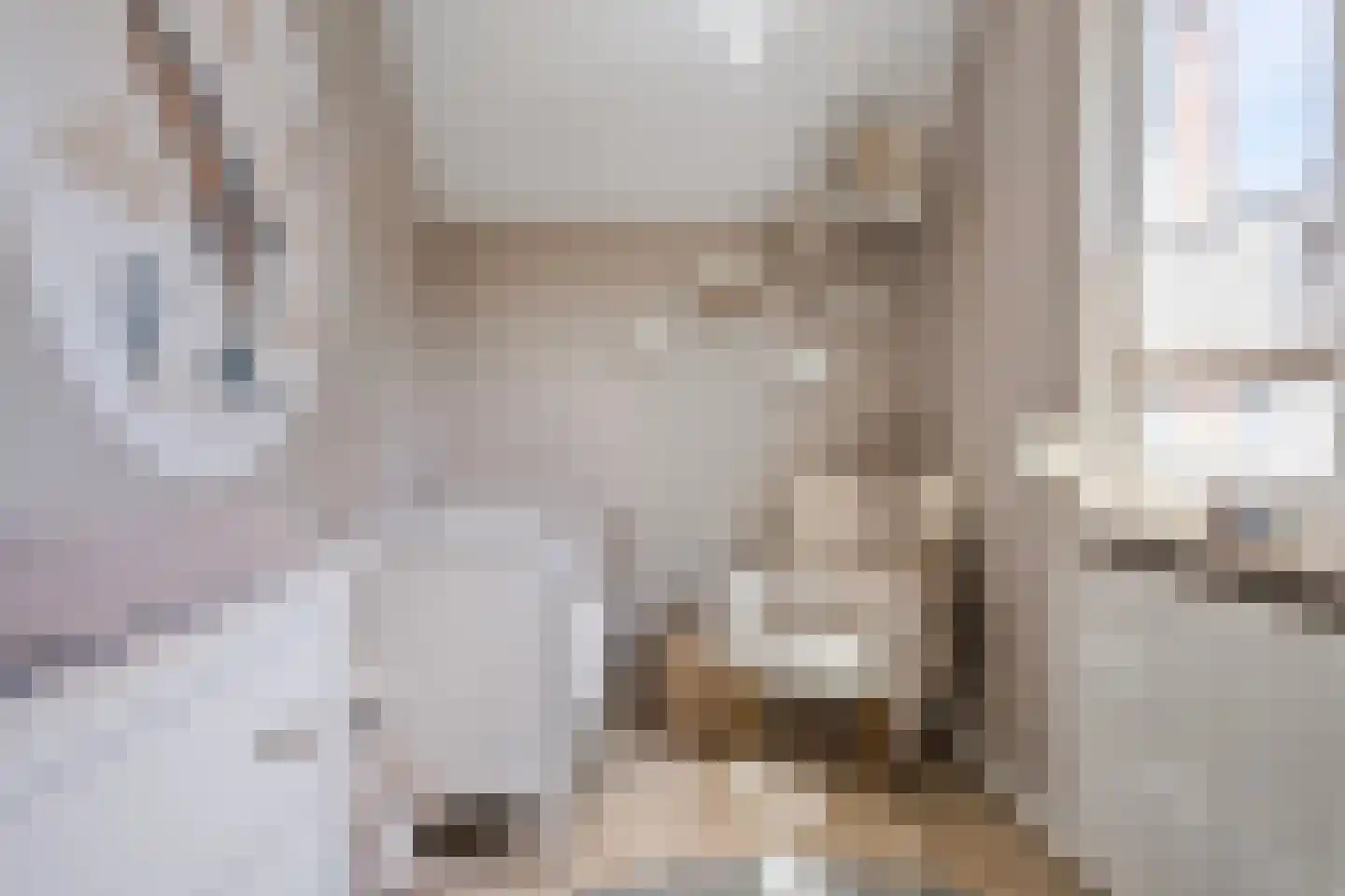 Berkenhof 4 Grashoek thumbnail 32
