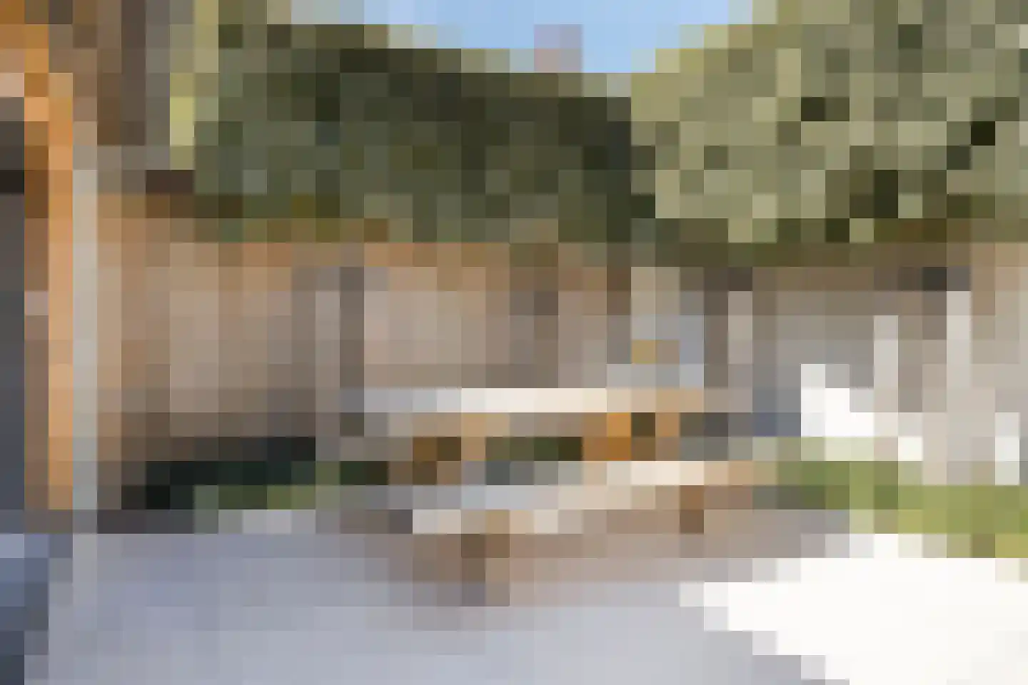 Berkenhof 4 Grashoek thumbnail 39