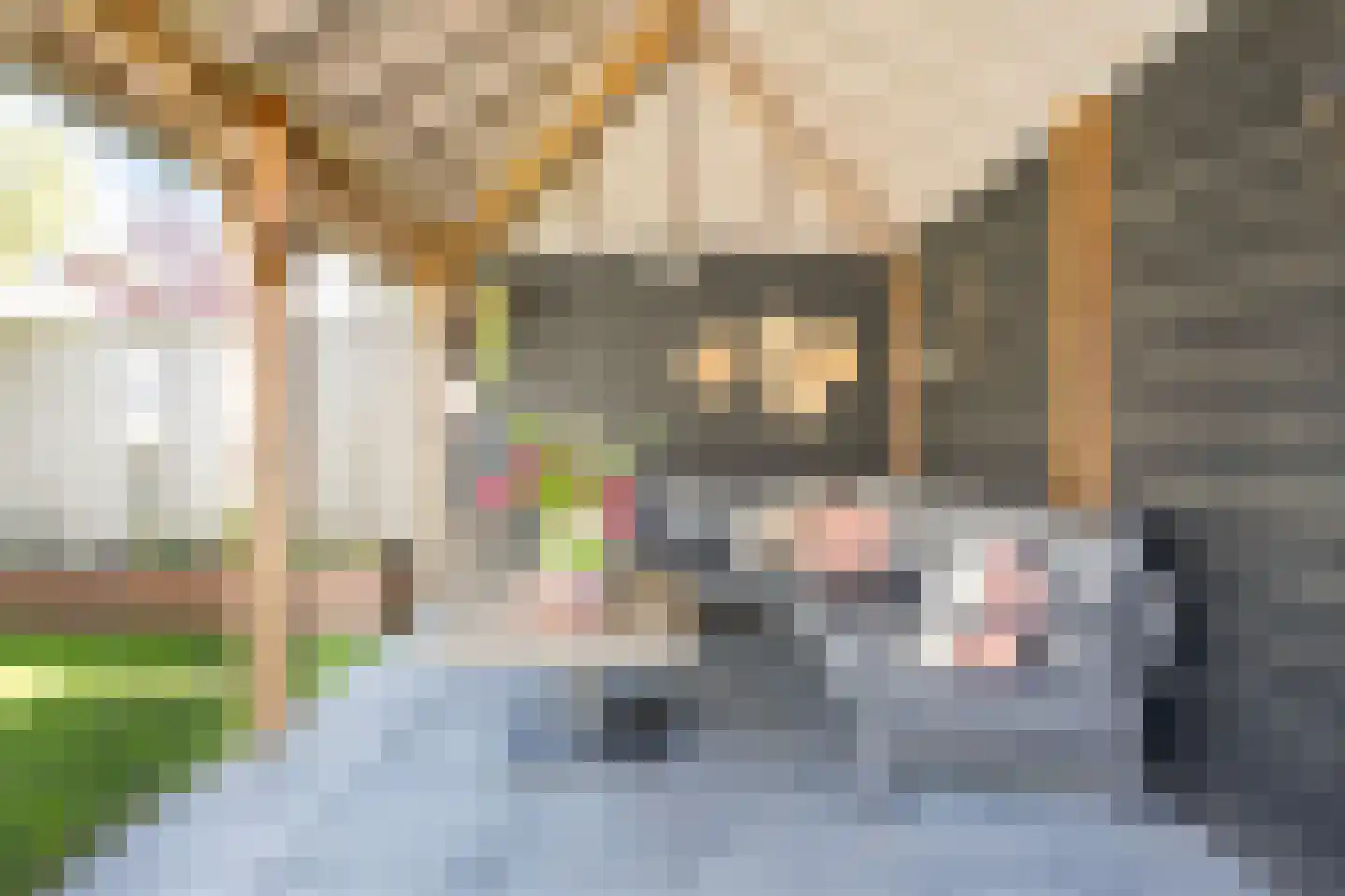 Berkenhof 4 Grashoek thumbnail 40