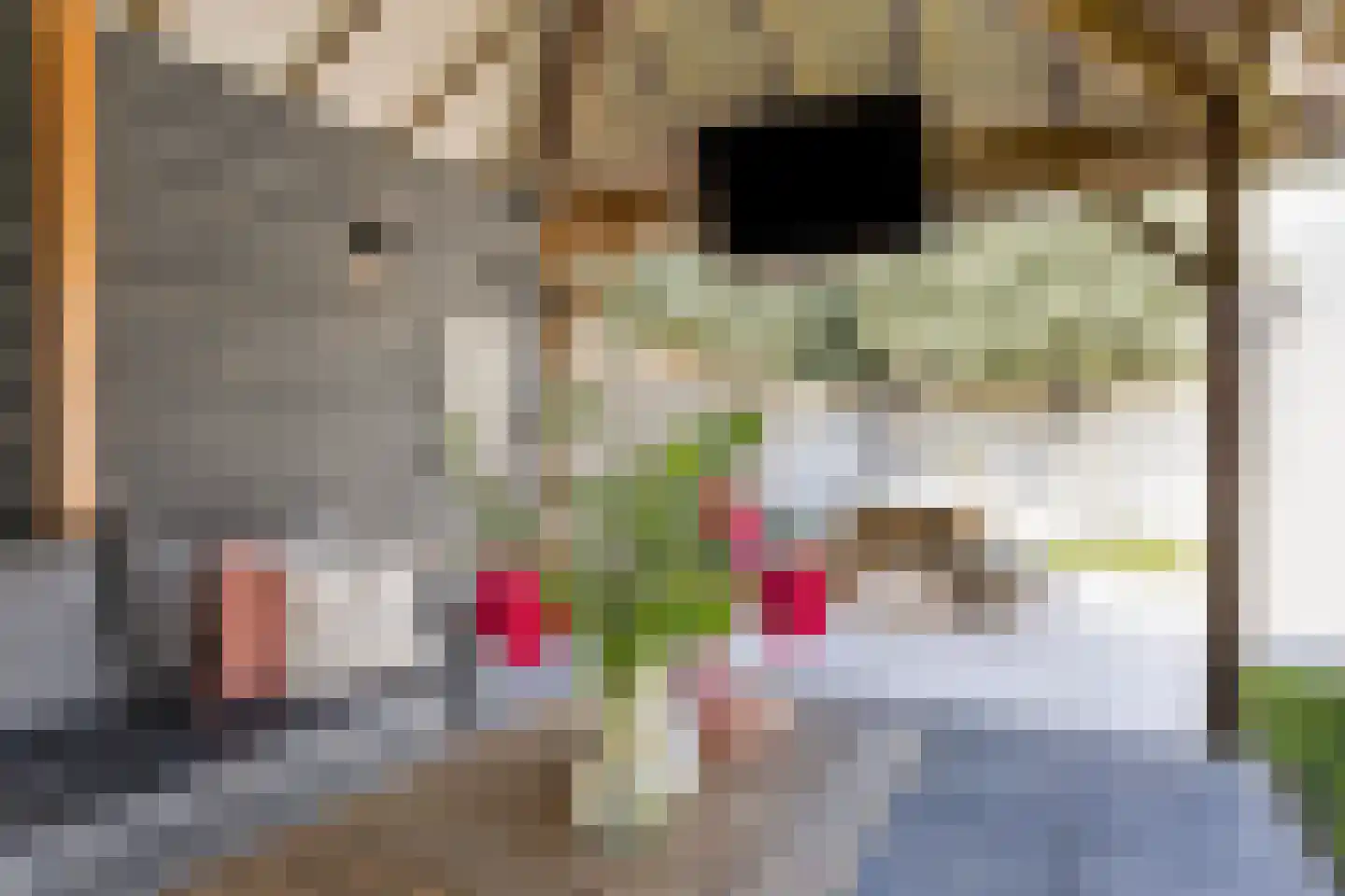 Berkenhof 4 Grashoek thumbnail 41