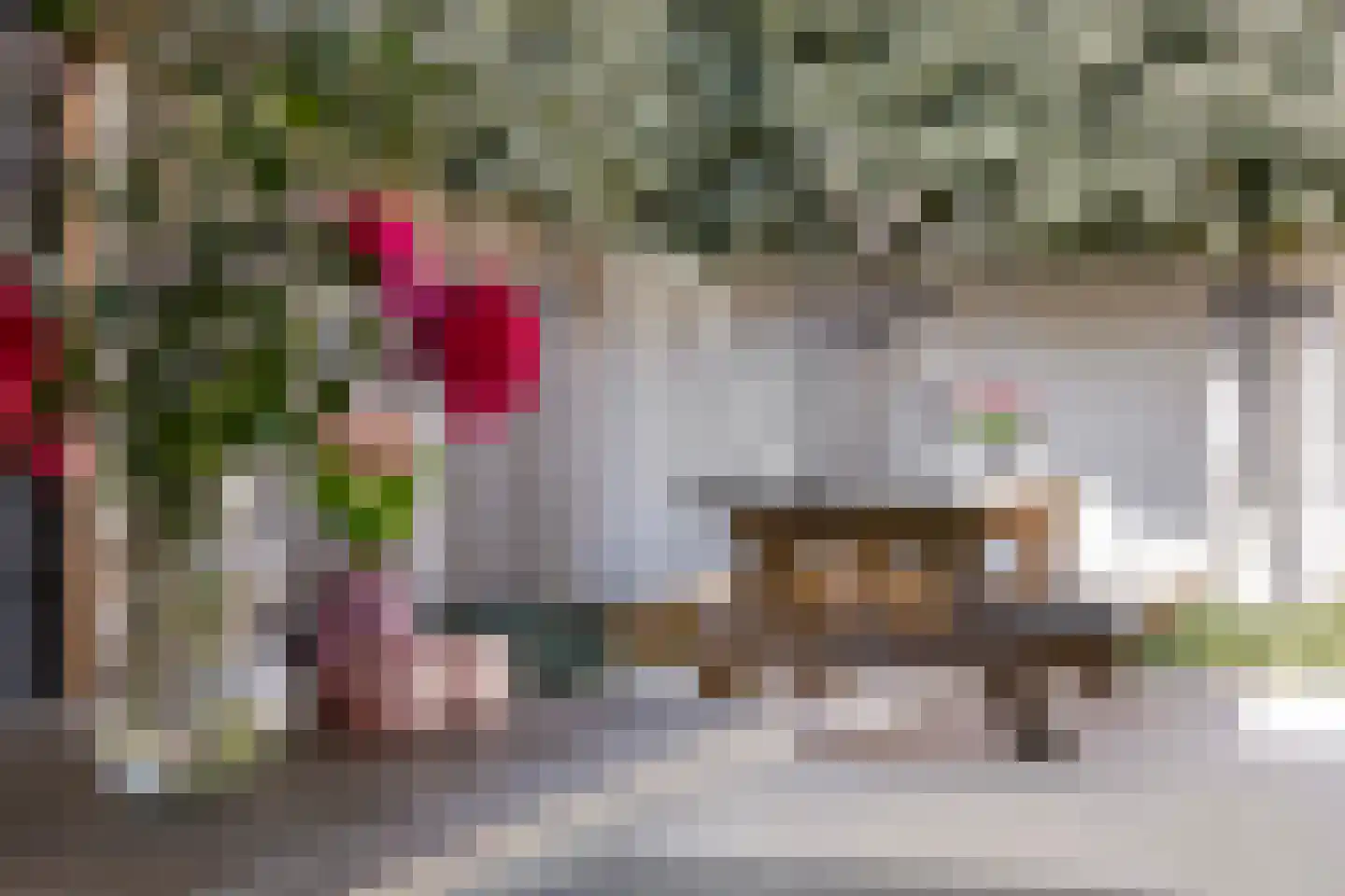 Berkenhof 4 Grashoek thumbnail 42