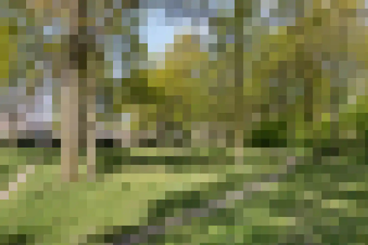 Berkenhof 4 Grashoek thumbnail 52