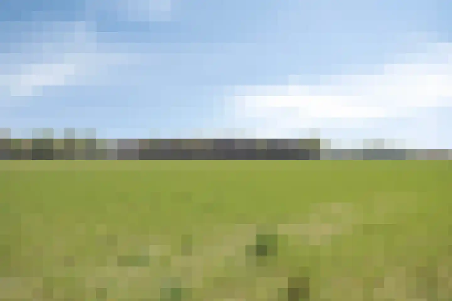 Berkenhof 4 Grashoek thumbnail 54