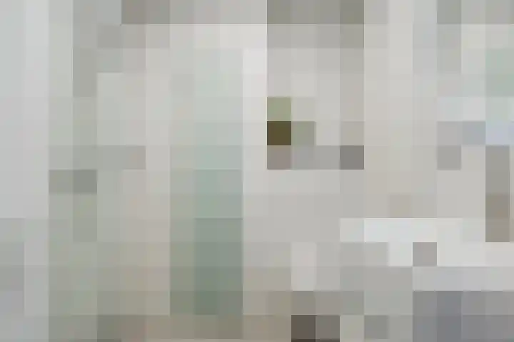 Berkenhof 4 Molenhoek thumbnail 17