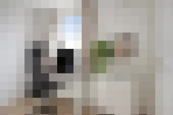 Berkenhof 4 Molenhoek thumbnail 23