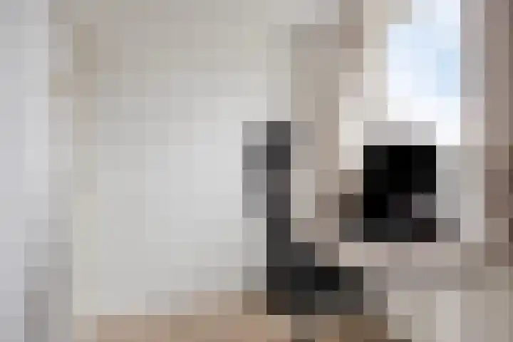 Berkenhof 4 Molenhoek thumbnail 24