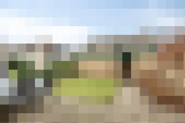Berkenhof 4 Molenhoek thumbnail 28