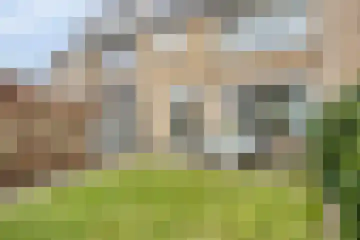 Berkenhof 4 Molenhoek thumbnail 30