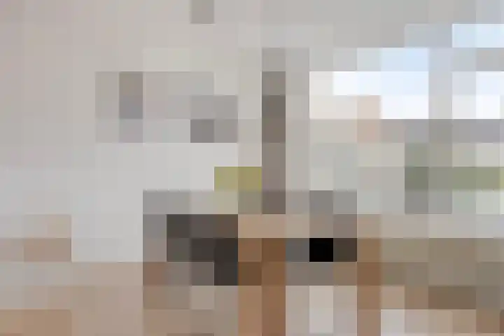 Berkenhof 4 Molenhoek thumbnail 8