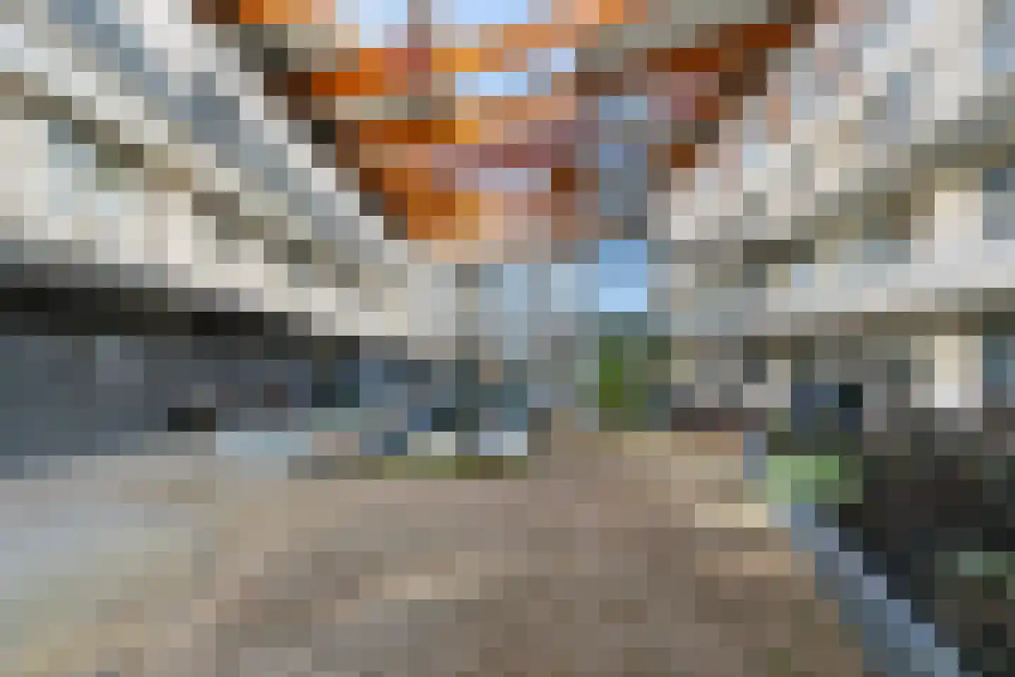 Berkenhof 40 Dordrecht thumbnail 6