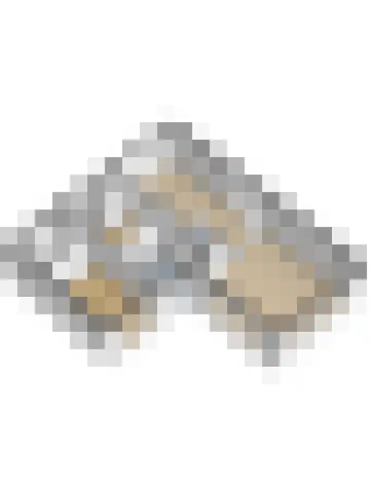 Berkenhof 5 Kapelle thumbnail 38