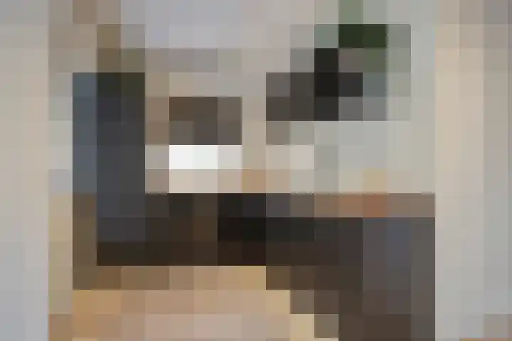 Berkenhof 56 Didam thumbnail 13