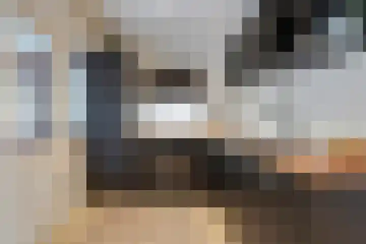 Berkenhof 56 Didam thumbnail 14