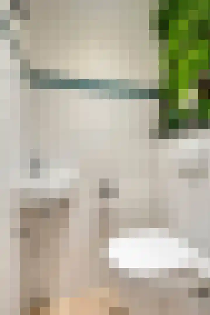 Berkenhof 56 Didam thumbnail 17