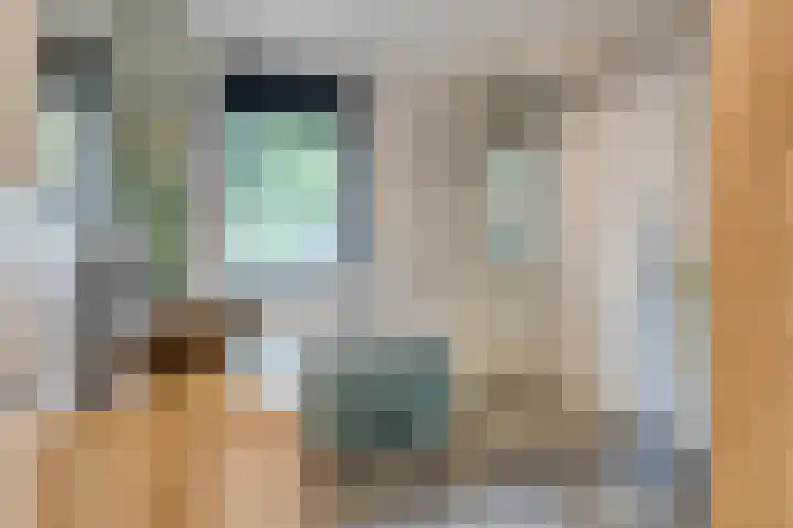 Berkenhof 56 Didam thumbnail 20