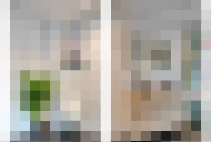 Berkenhof 56 Didam thumbnail 22